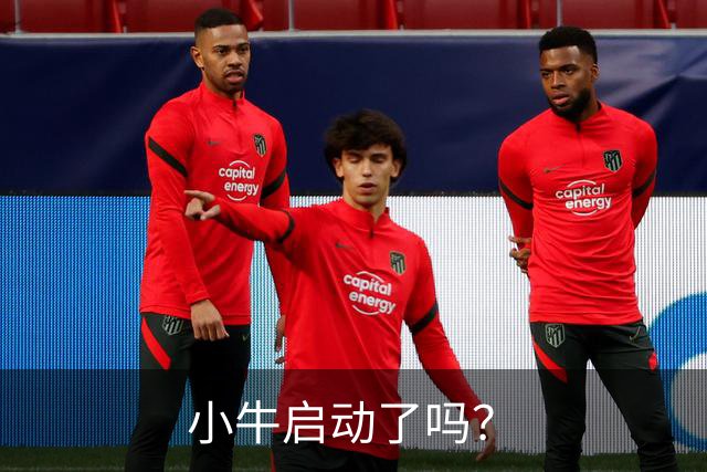 小牛启动了吗？